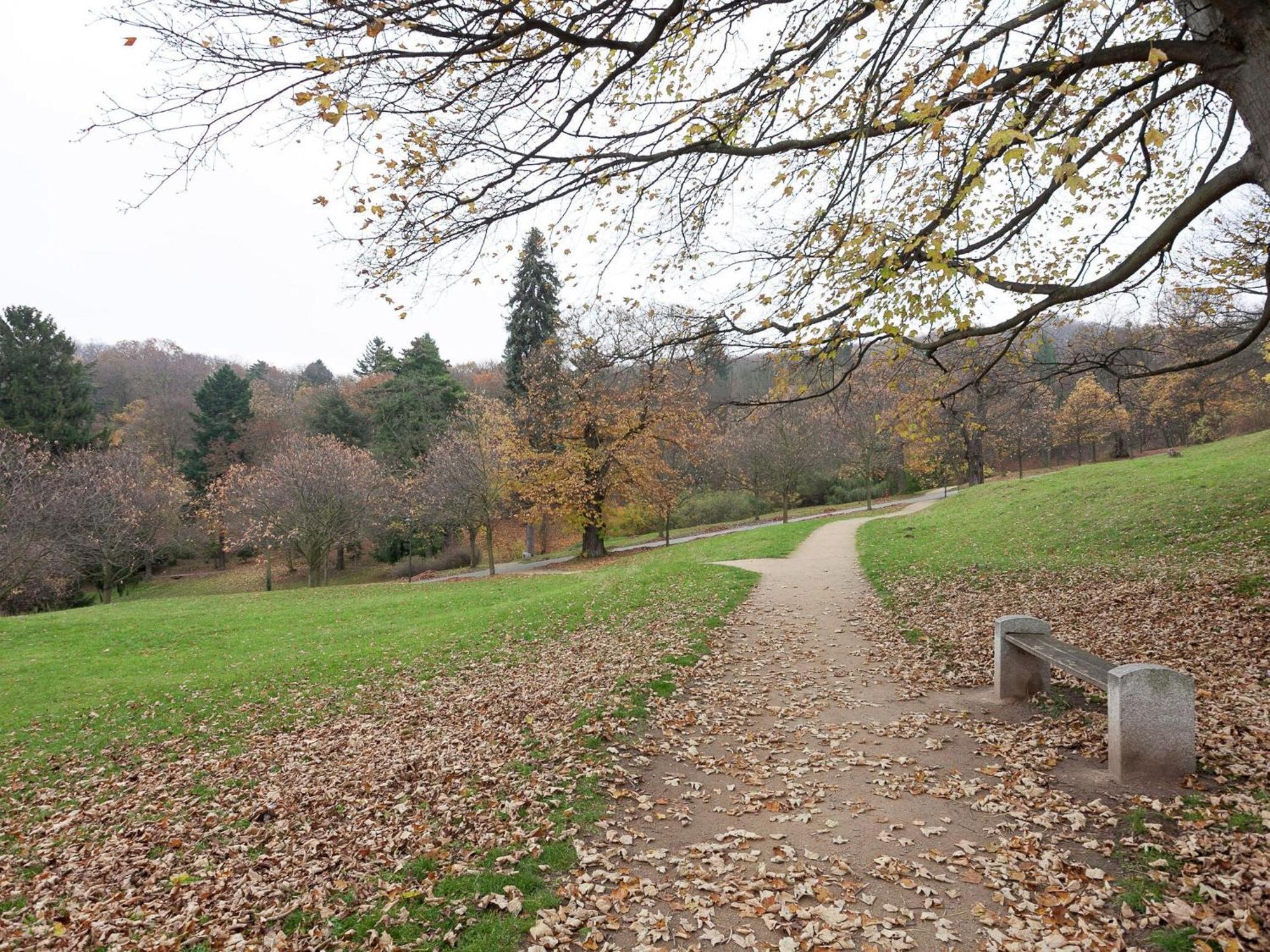 Beautiful Apartment In D Rnthal Near The Forest Voigtsdorf Luaran gambar